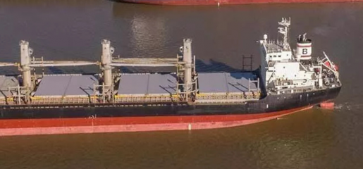 EXPORTAR DESDE SANTA FE: OPORTUNIDADES, DESAFÍOS Y EL VALOR DE SABER COMUNICAR