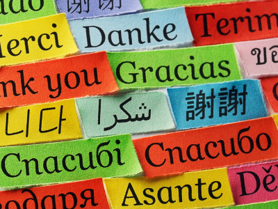 LENGUAS EN PELIGRO DE EXTINCIÓN: ¿PUEDE LA TRADUCCIÓN TENDER PUENTES PARA PRESERVAR VOCES?